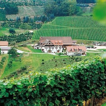 Weingut Alfred Huber Apartment Durbach Exterior photo