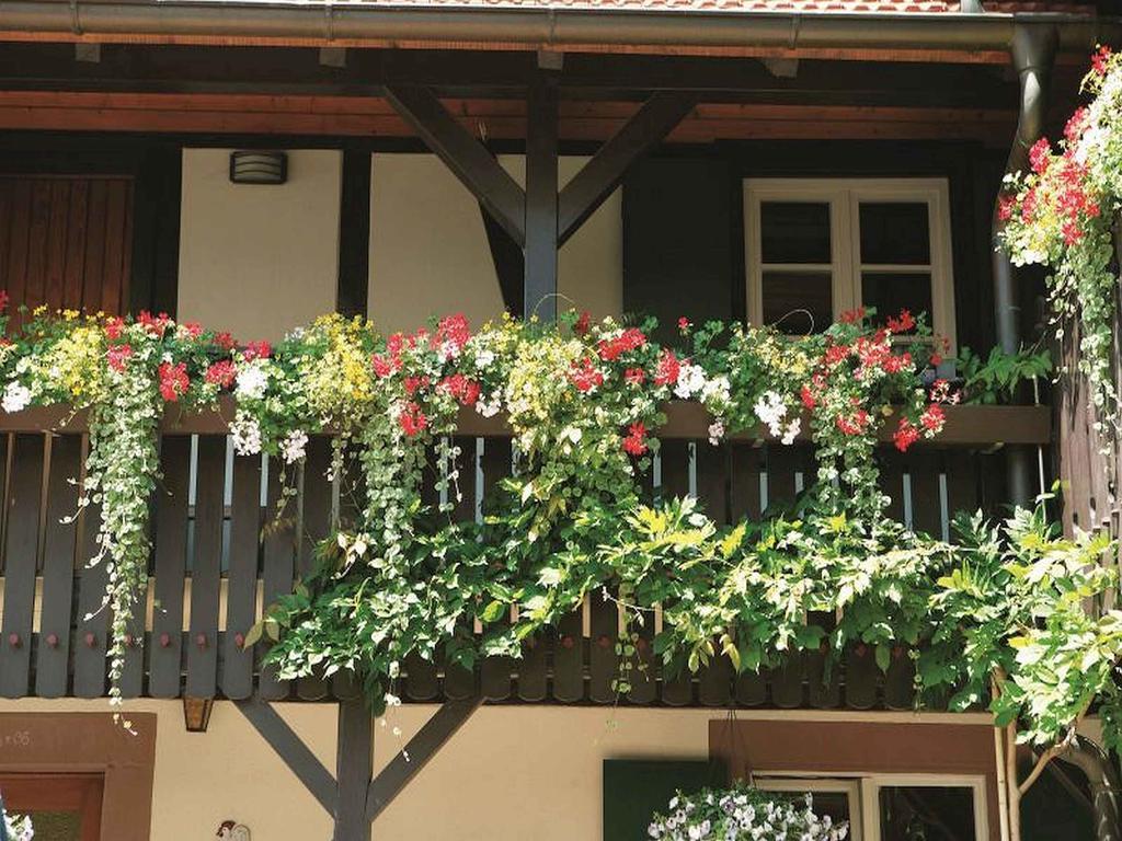 Weingut Alfred Huber Apartment Durbach Exterior photo